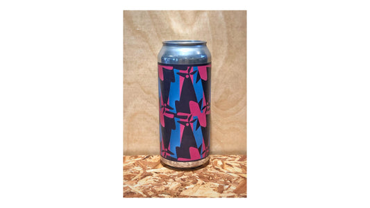 Aslin Nuances Of Meaning IPA 4p Can 16oz
